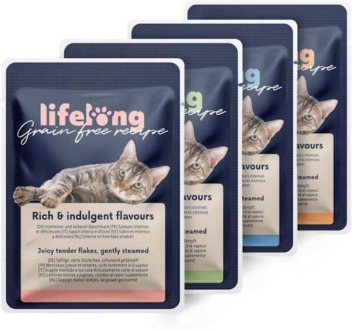 Wet Cat Food For Older Cats With Sensitive Stomachs The best cat food for better digestion and sensitive stomachs | Home